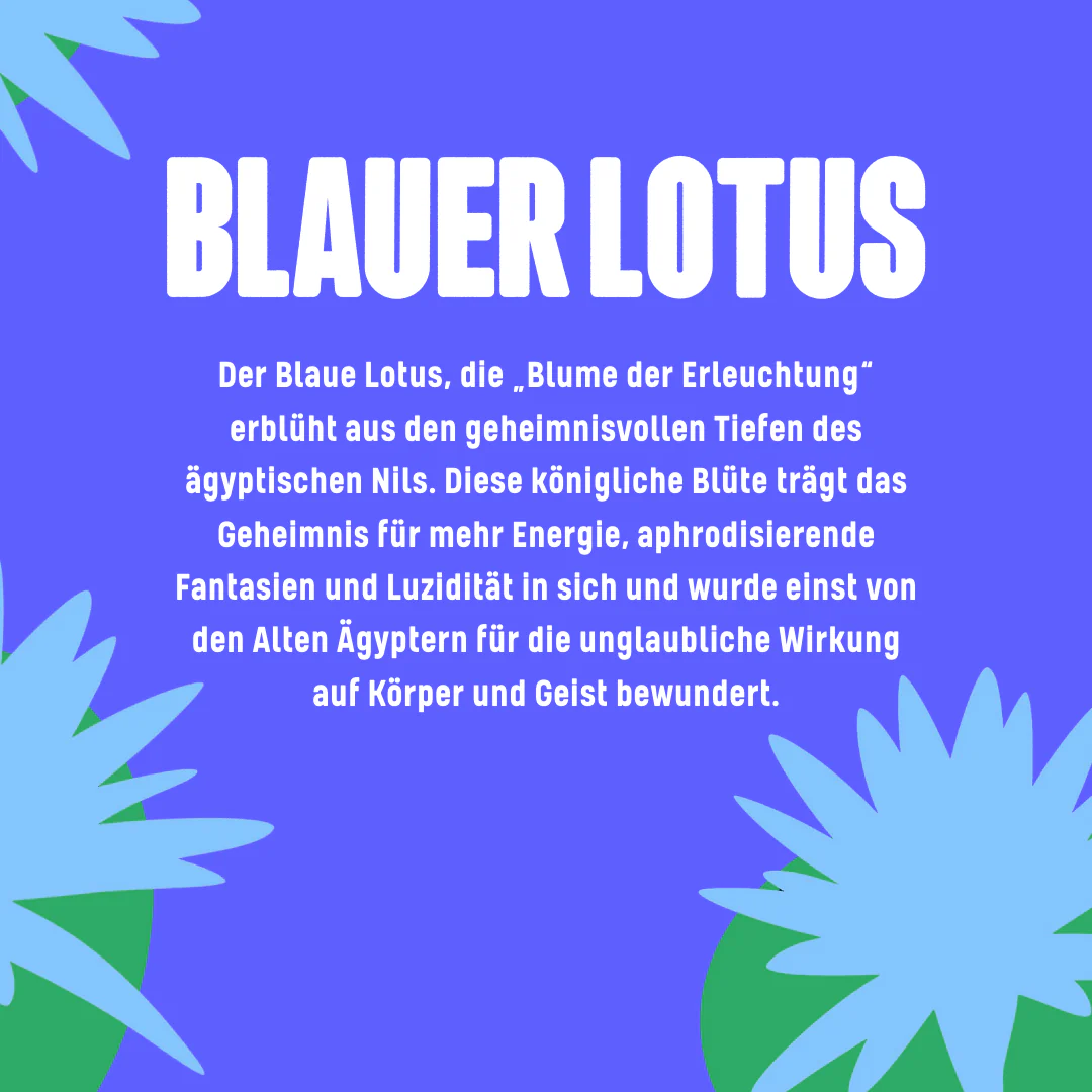 🪷 Blauer Lotus Hasch - Image 3